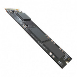 HS-SSD-E1000-1024G-2280