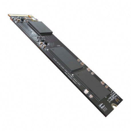 HS-SSD-E1000-512G-2280