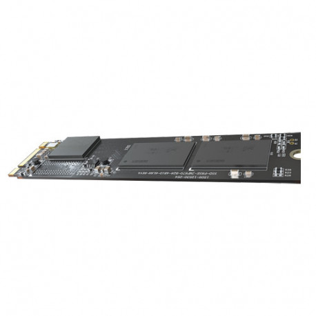 HS-SSD-E100NI-1024G-2280