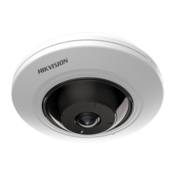 DS-2CD2955FWD-I(1.05mm)