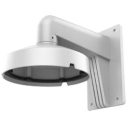 DS-1273ZJ-DM25(M1)