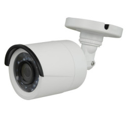 NV-19B