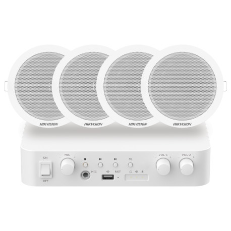 DS-QAE1KA80206-4