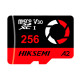 HS-TF-E3STD/256G/CAPTURE/W