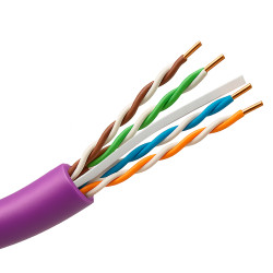 UTP6-305-BC-H-Dca-PURPLE