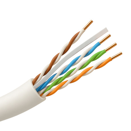 UTP6A-1000-LSZH-B2ca